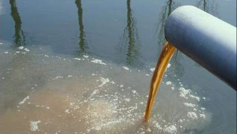 eau polluée