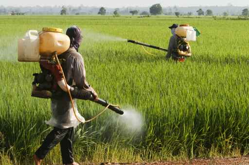 pesticides agriculteurs