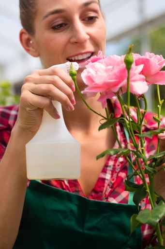 pesticides roses