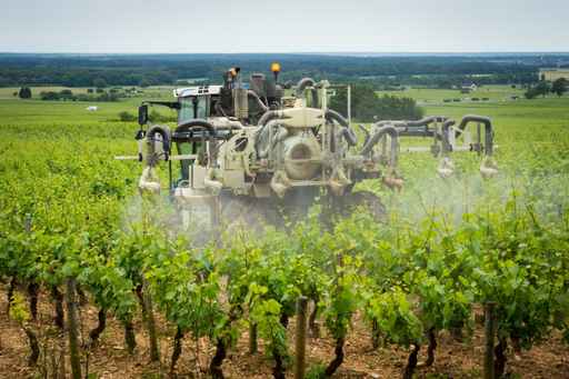 pesticides vignes