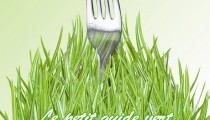 Consultez notre petit guide vert de la bio-alimentation !!!