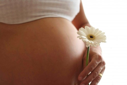 Perturbateurs endocriniens : exposition de la mère et malformations chez l'enfant (avril 2010)