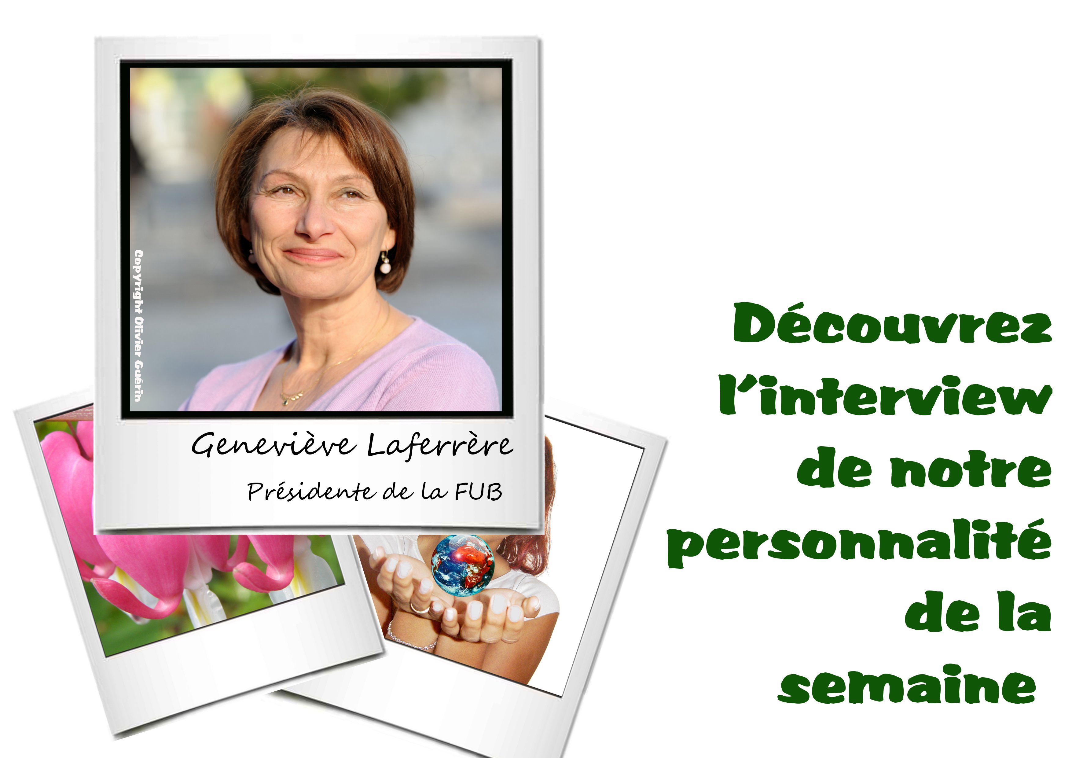 visuel polaroid genevieve lafrrere