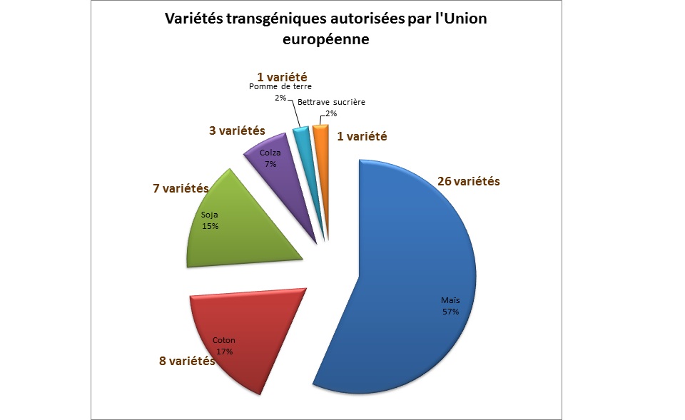 variétés transgéniques autorisées en UE