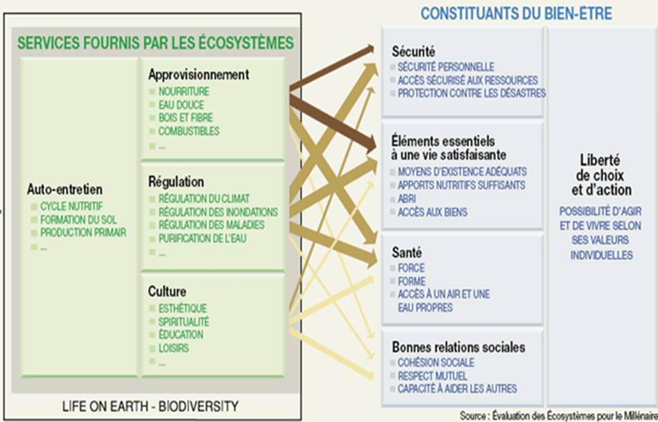 evaluation_ecosysteme