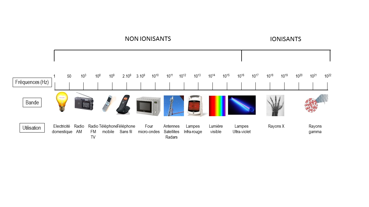 Les ondes électromagnétiques décryptées : la synthèse de l'ASEF