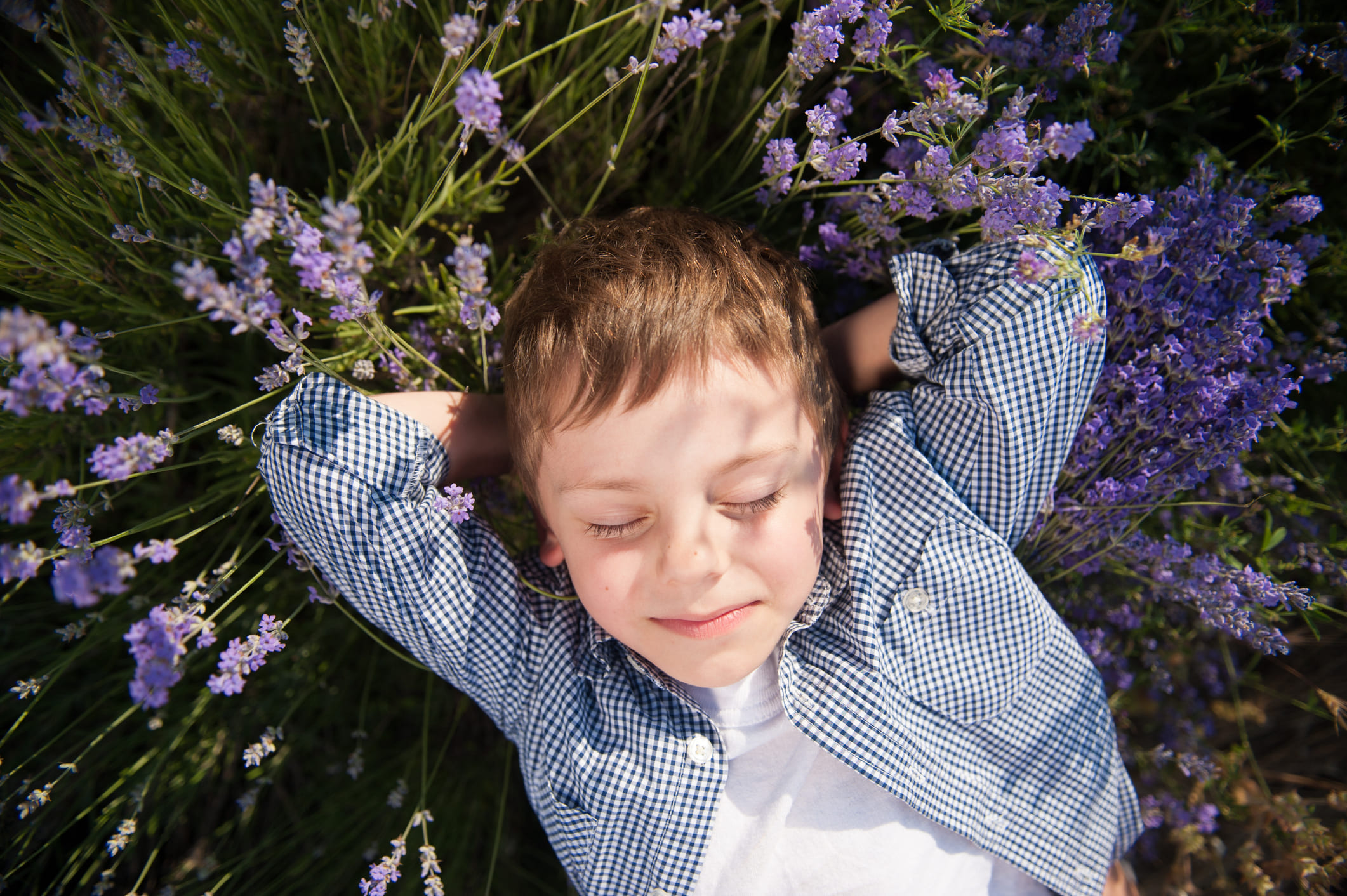 Les brèves de l'ASEF | Association Santé Environnement France